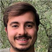 Letteratura italiana, Storia, Filosofia, Storia dell'arte